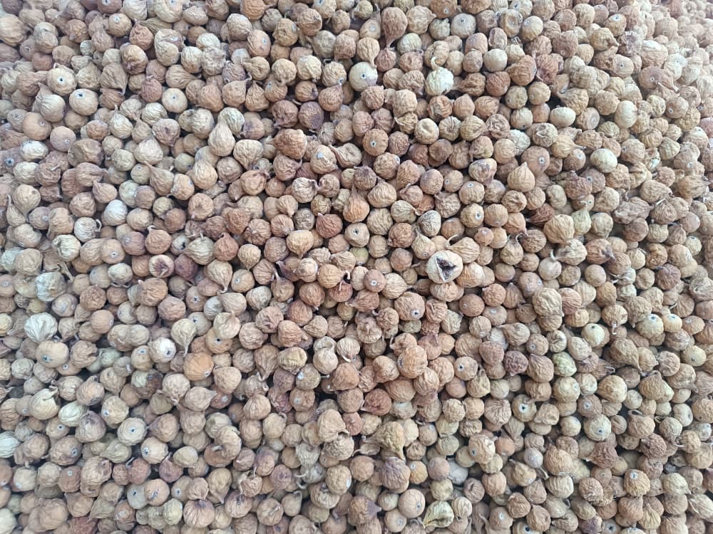 خرید ویژه انجیر دو رنگ درشت (AAA) + فروش فوق العاده